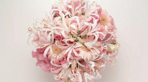 重生后我把白莲和手捧花一起扬了（保姆女儿想用9.9换走我的千万捧花）,怒甩白莲，手捧花扬天下！