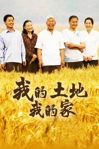 我的土地我的家,我的家，我的根
