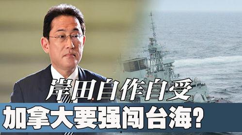 最后通牒：不结就分 第三季,第三季：爱情与选择的终极对决