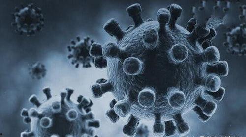 地球死亡病毒,揭秘末日病毒的秘密与挑战